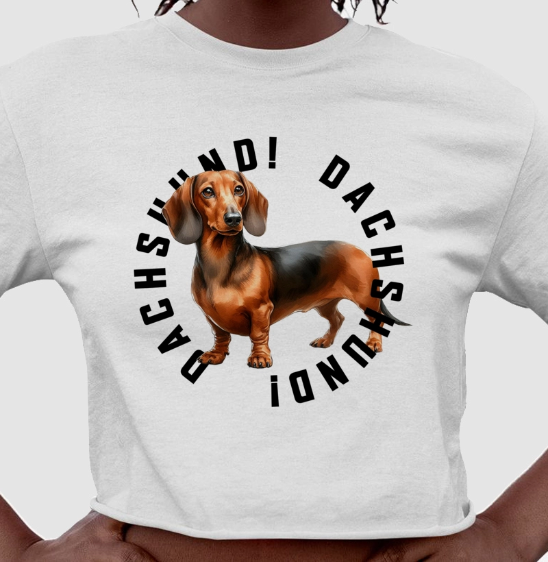 Dachshund! Dachshund! 