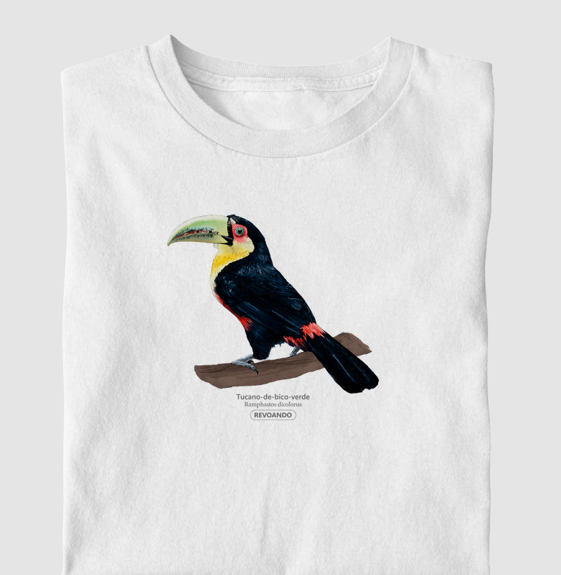 Aves do Brasil - Tucano-de-bico-verde - Infantil