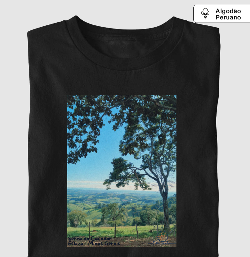 Serra do Caçador Estiva Minas Gerais (tela1)