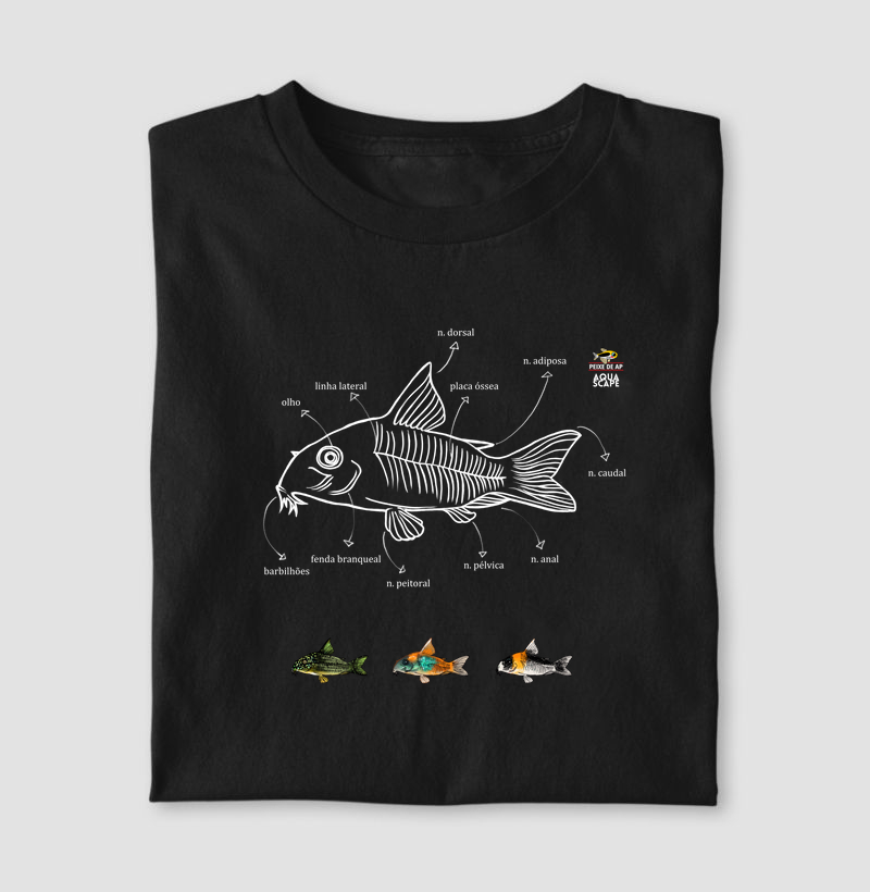 Corydoras sp. @peixedeap