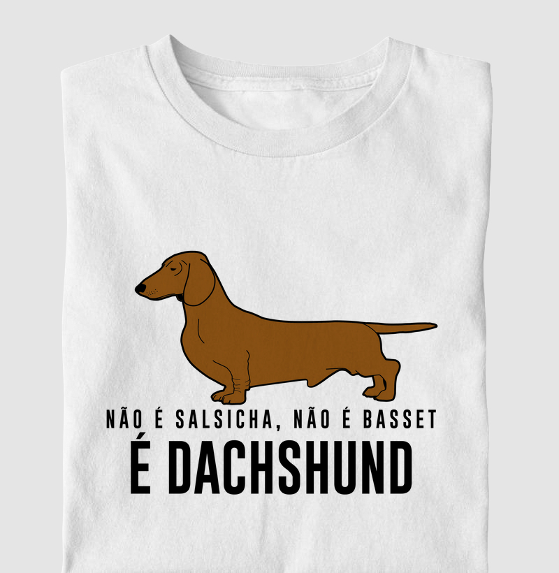 Não é Salsicha...Dachshund