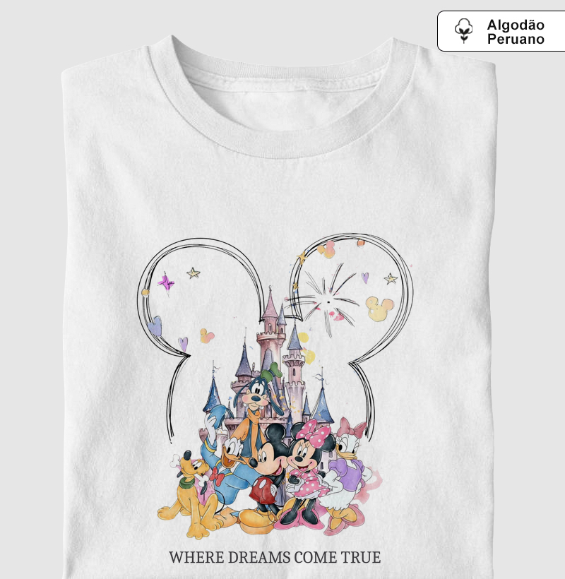 Disney - where dreams come true