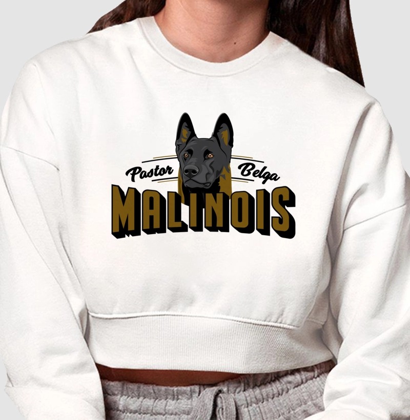 Pastor Belga Malinois 02