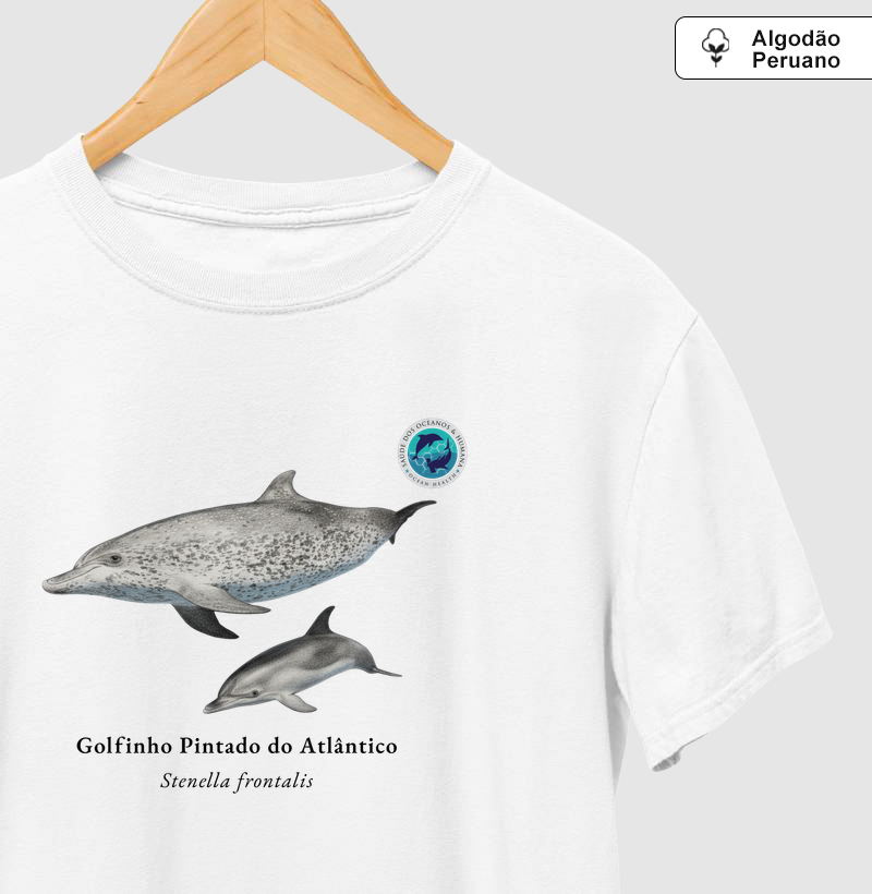 Golfinho Pintado do Atlântico