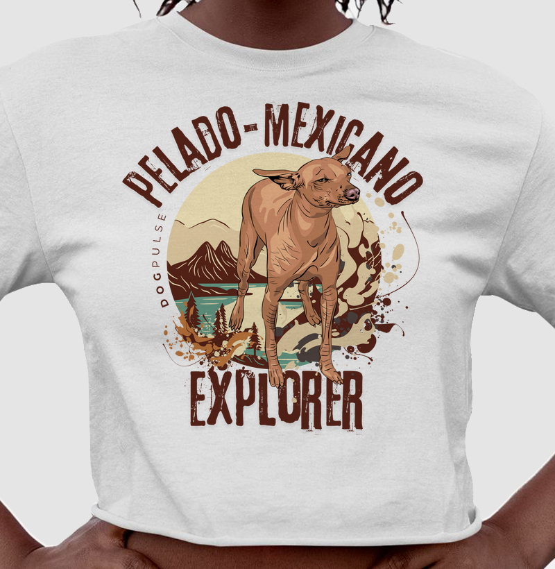 Cropped Dog Pulse Pelado Mexicano Explorer – Ancient Nomad