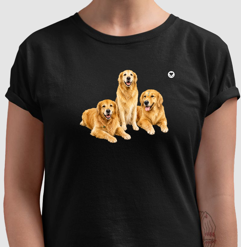 Trio de Goldens