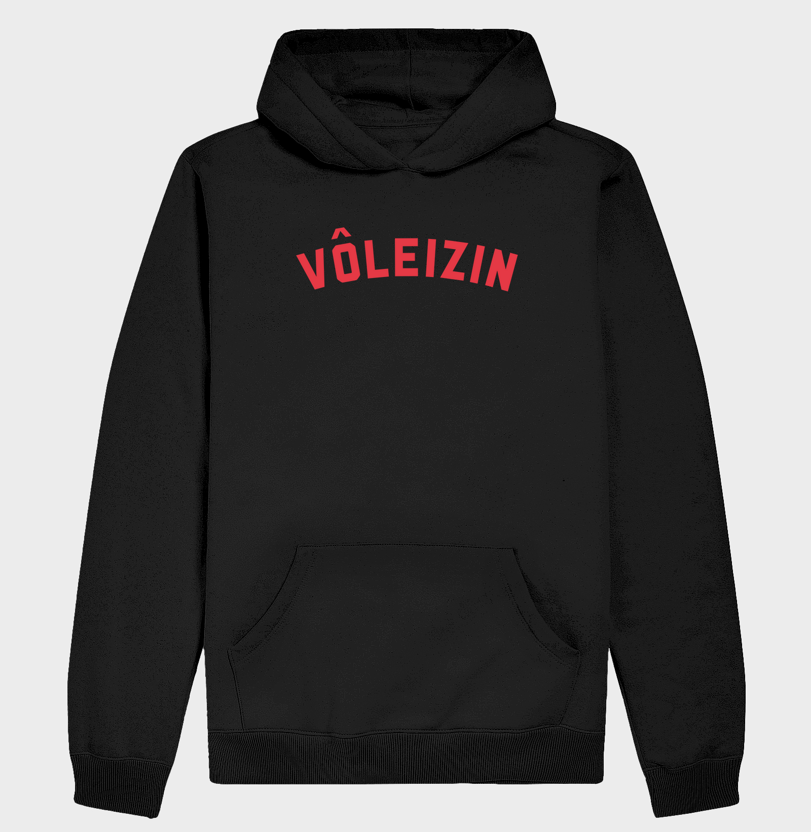 Vôleizin