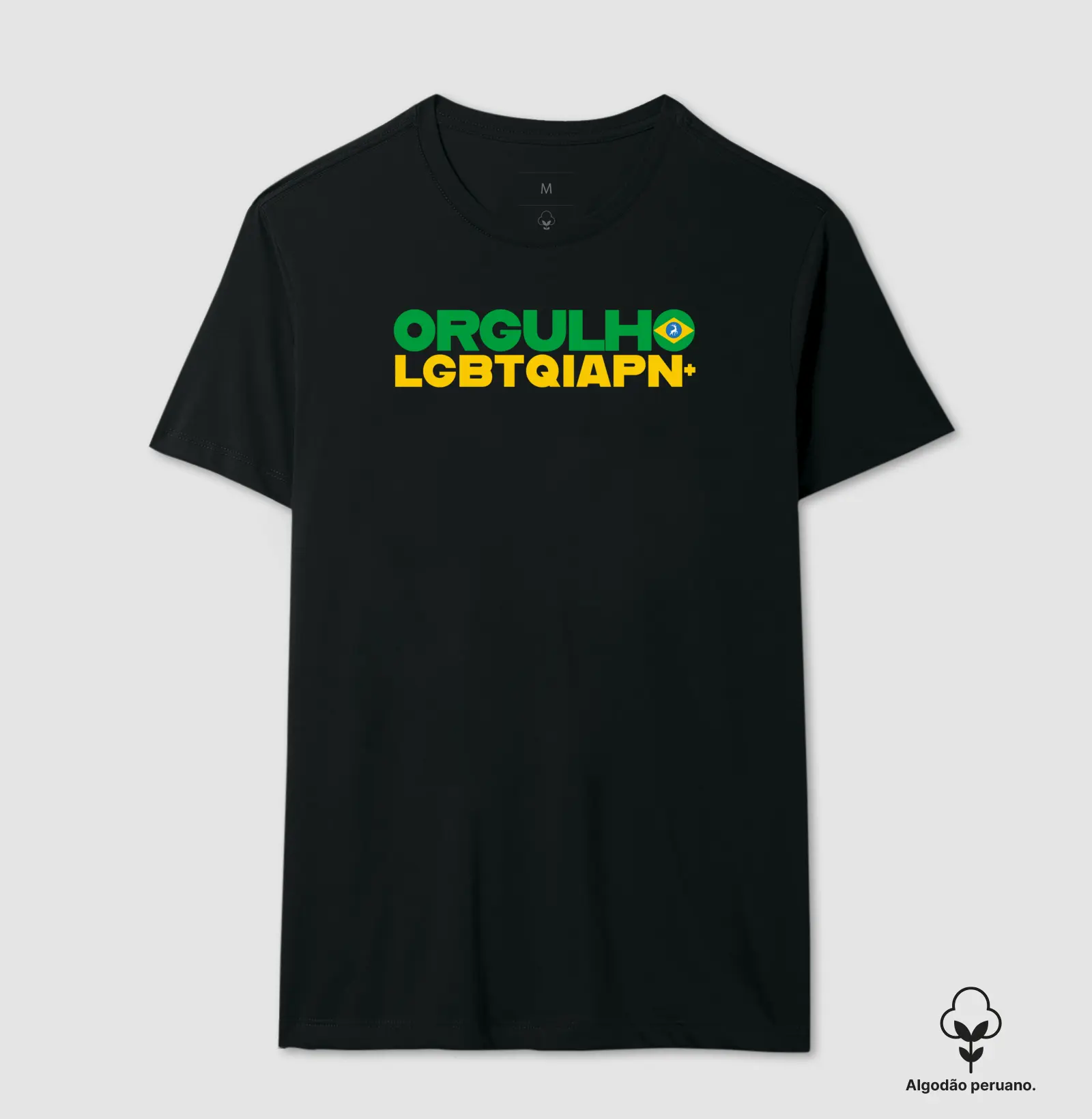 Orgulho LGBTQIAPN+ Brasil 1