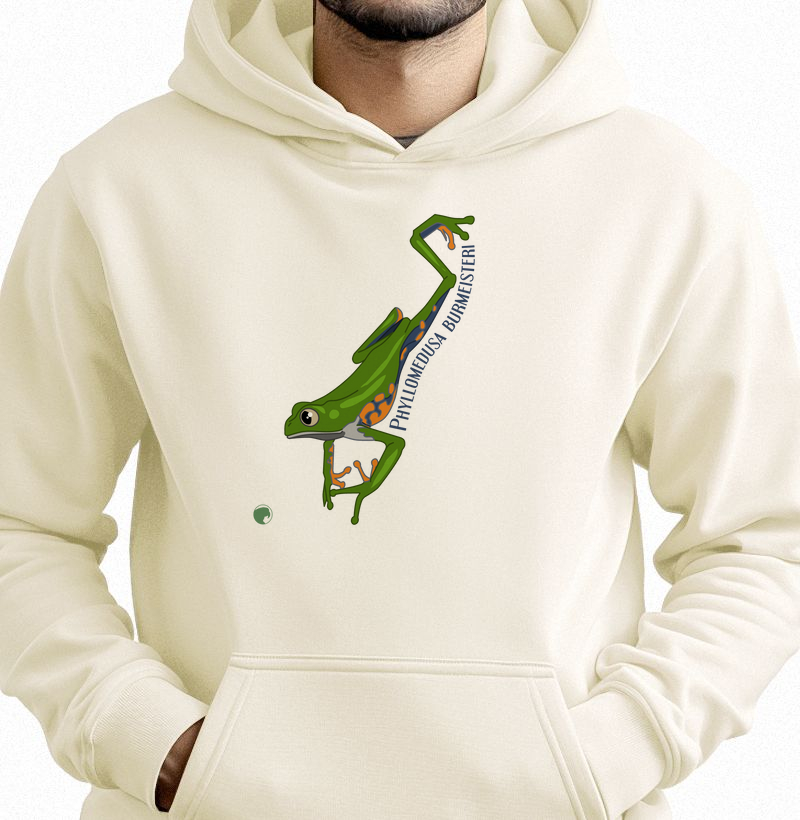 Phyllomedusa burmeisteri