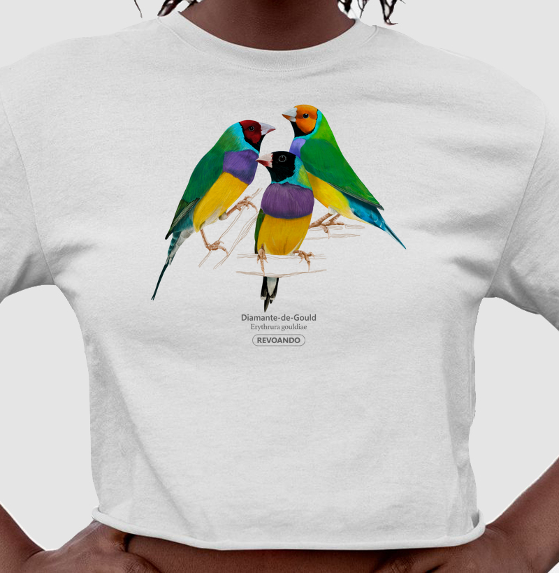 Love Friends - Diamante-de-Gould - Cropped