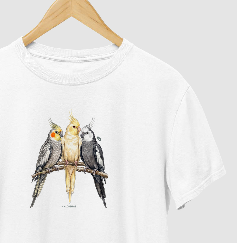 Aves - Calopsitas