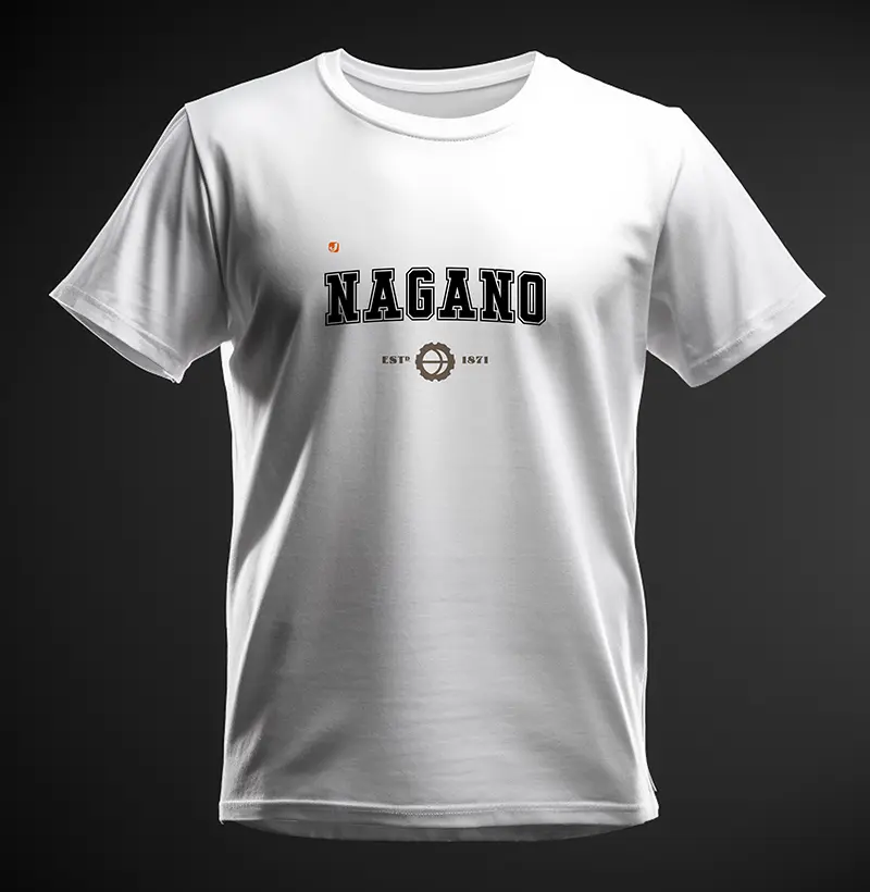 Província de Nagano