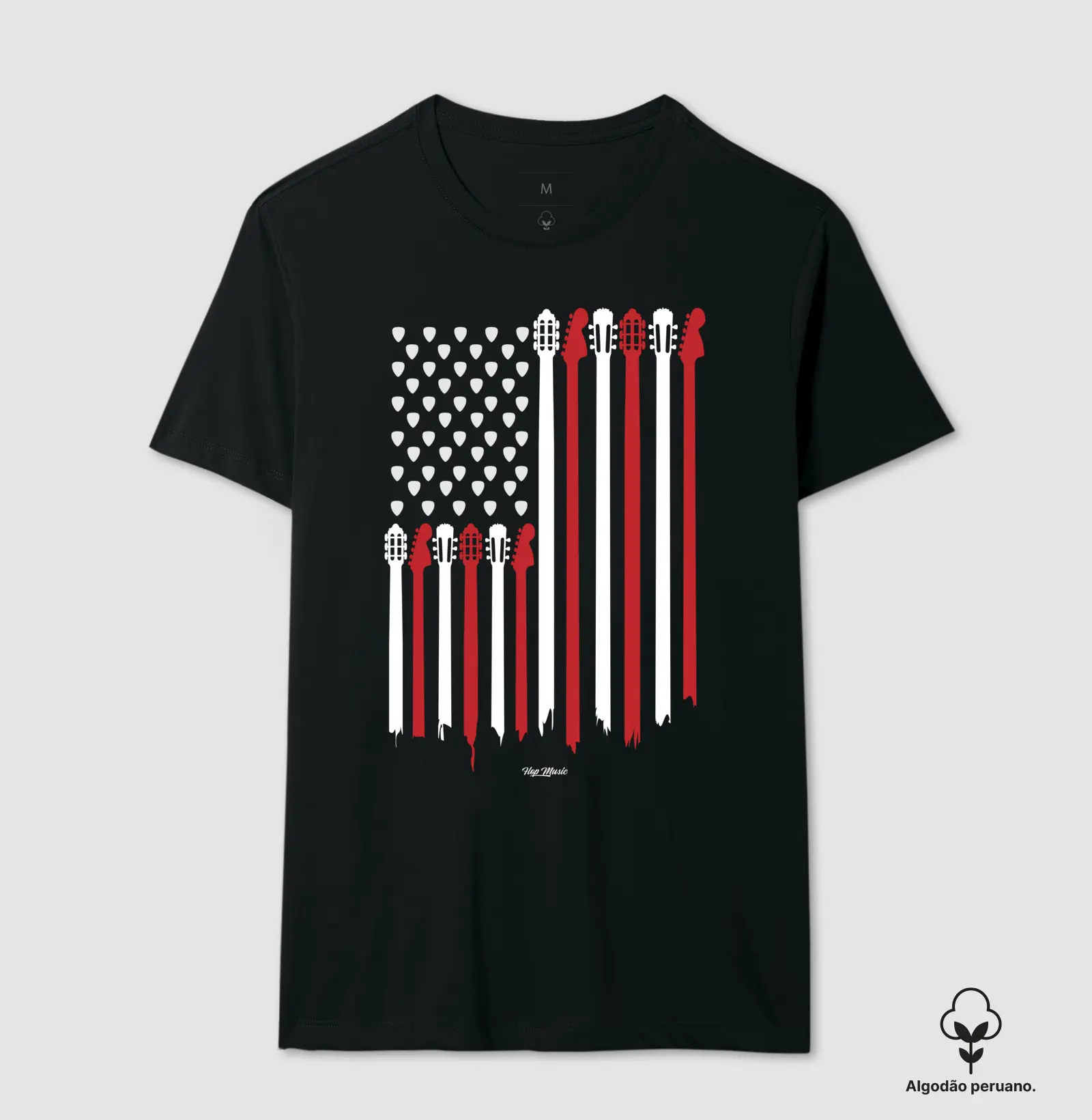 American Flag Acoustic&Guitar