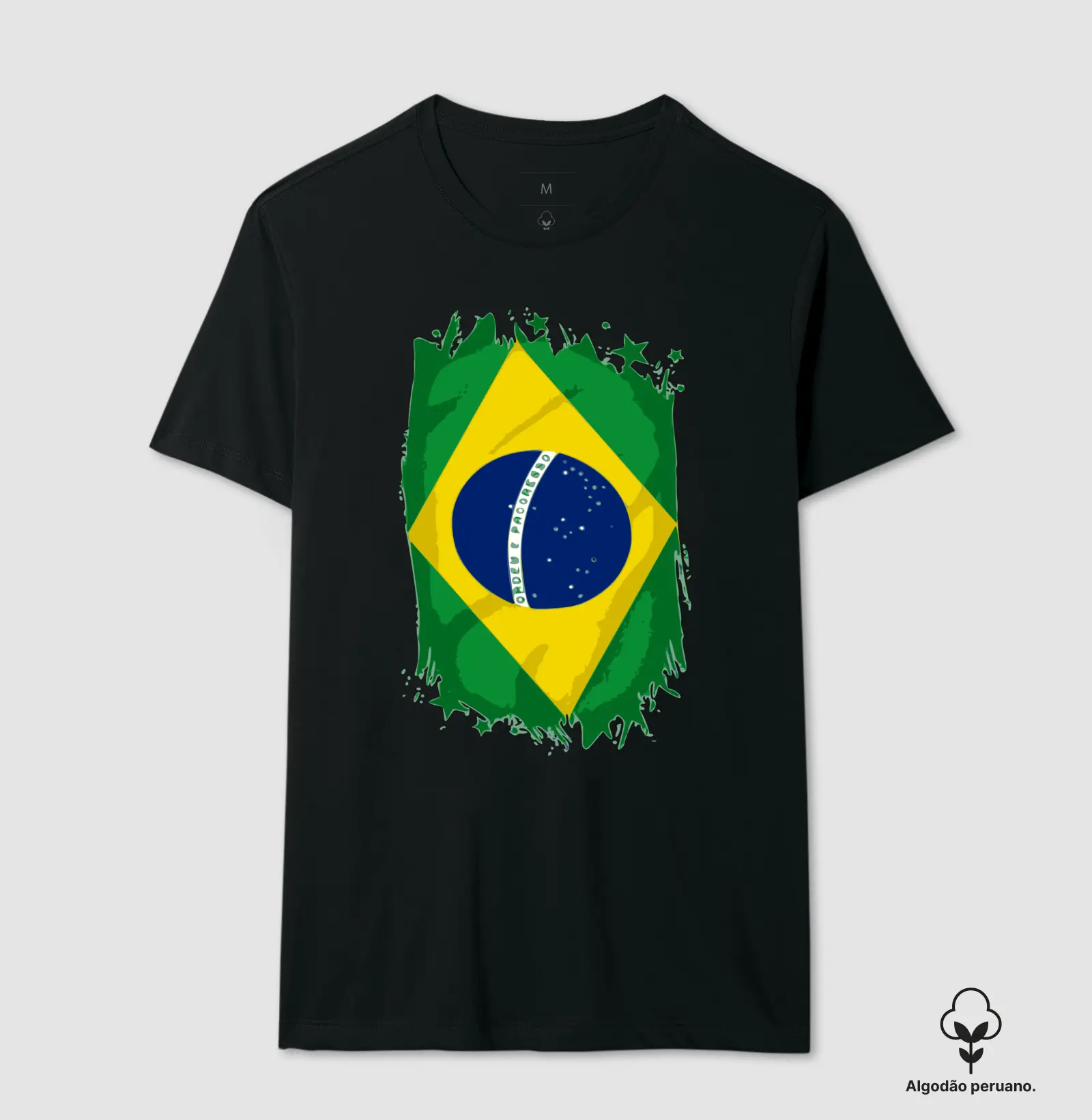 Bandeira do Brasil 2