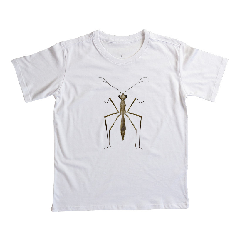 Louva-a-deus / Atenção plena