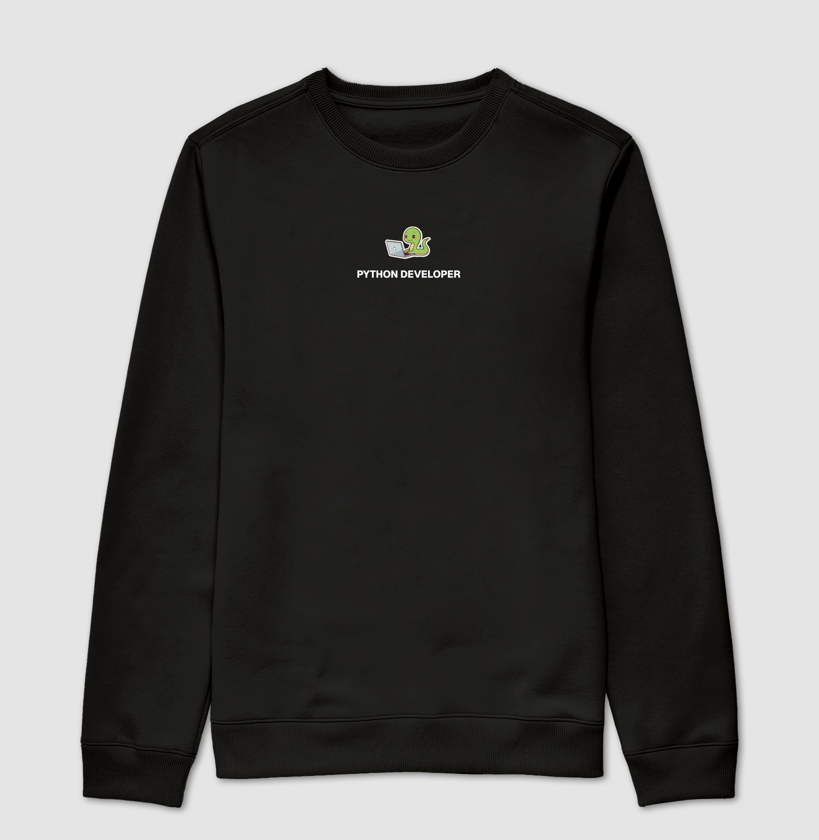 Python developer