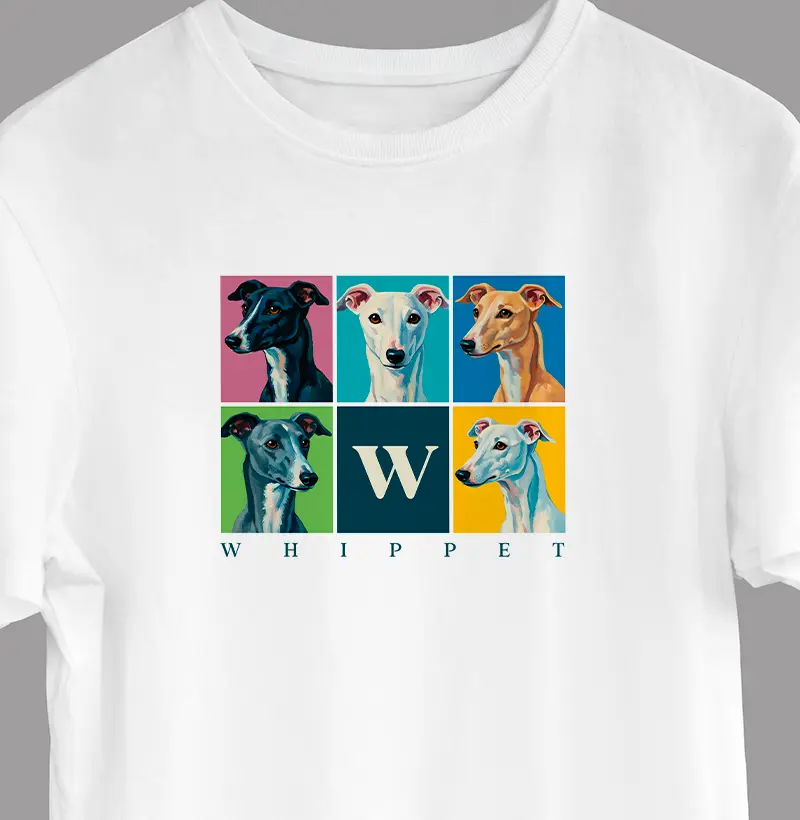 Whippet | Pictures