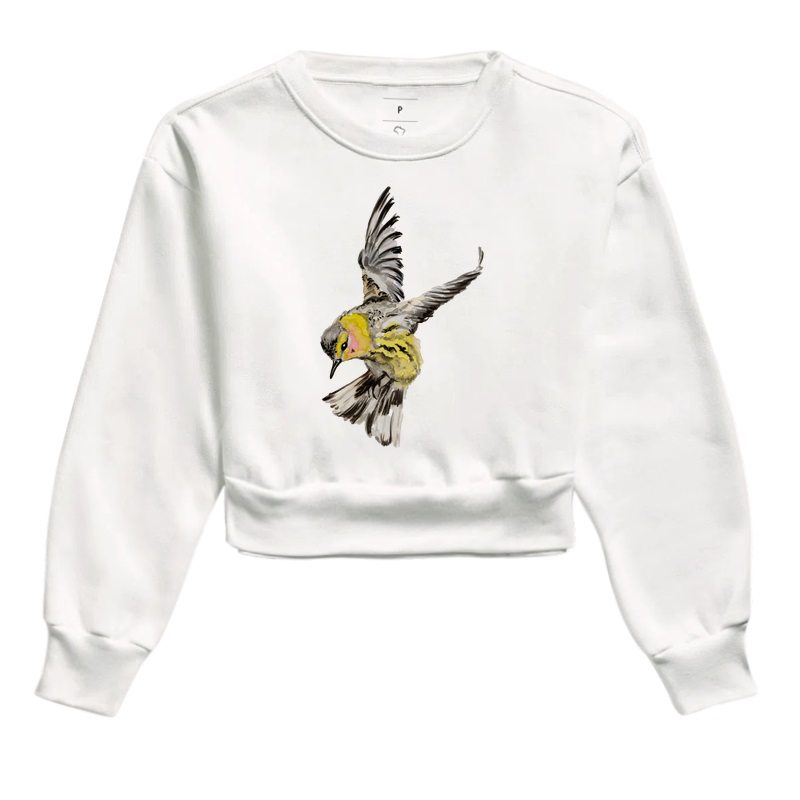 Cropped Moletom Beija Flor 