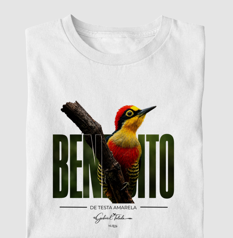 Benedito de Testa Amarela