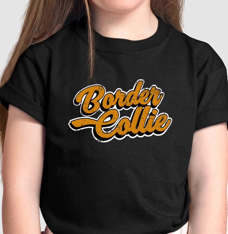 Border Collie Laranja