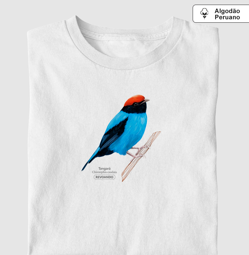 Aves do Brasil - Tangará - Algodão Peruano
