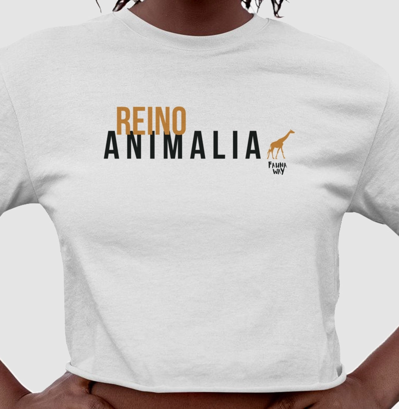 Reino Animalia