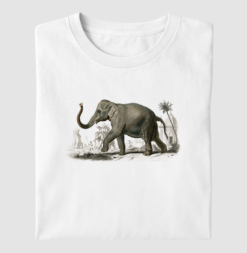 Asian elephant