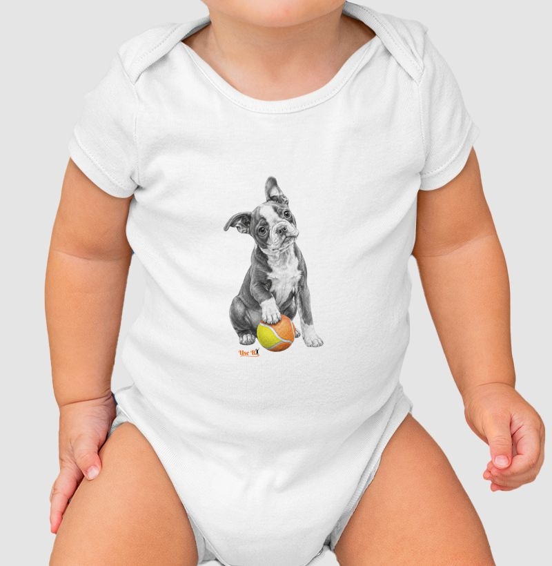 Boston Terrier do Beach