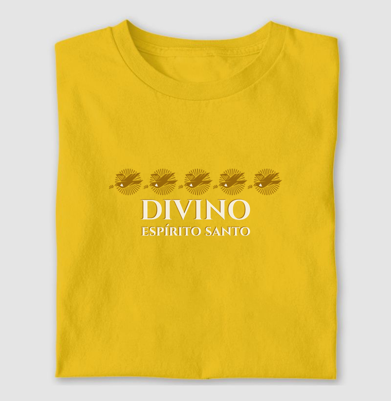 Festa do Divino de Turmalina 2026