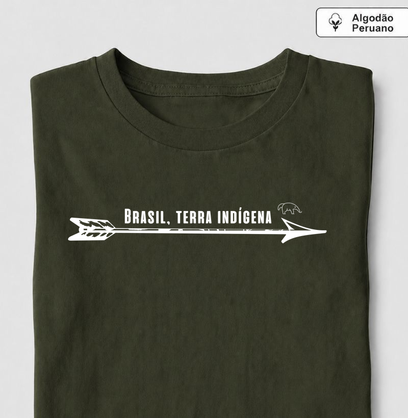 Brasil terra indígena