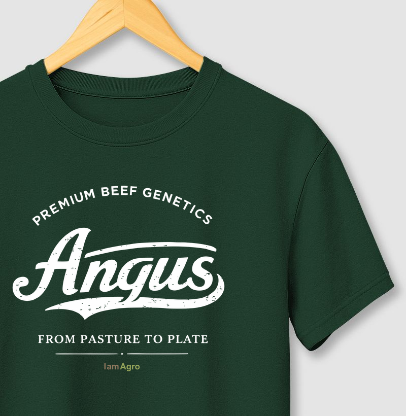 Camiseta Angus Old