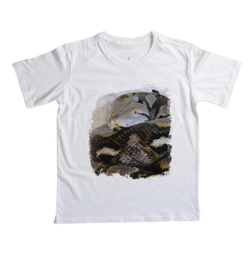 Python Reticulatus Mini