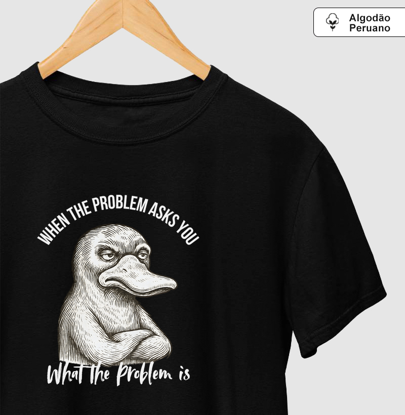 when the problem asks you What the Problem is