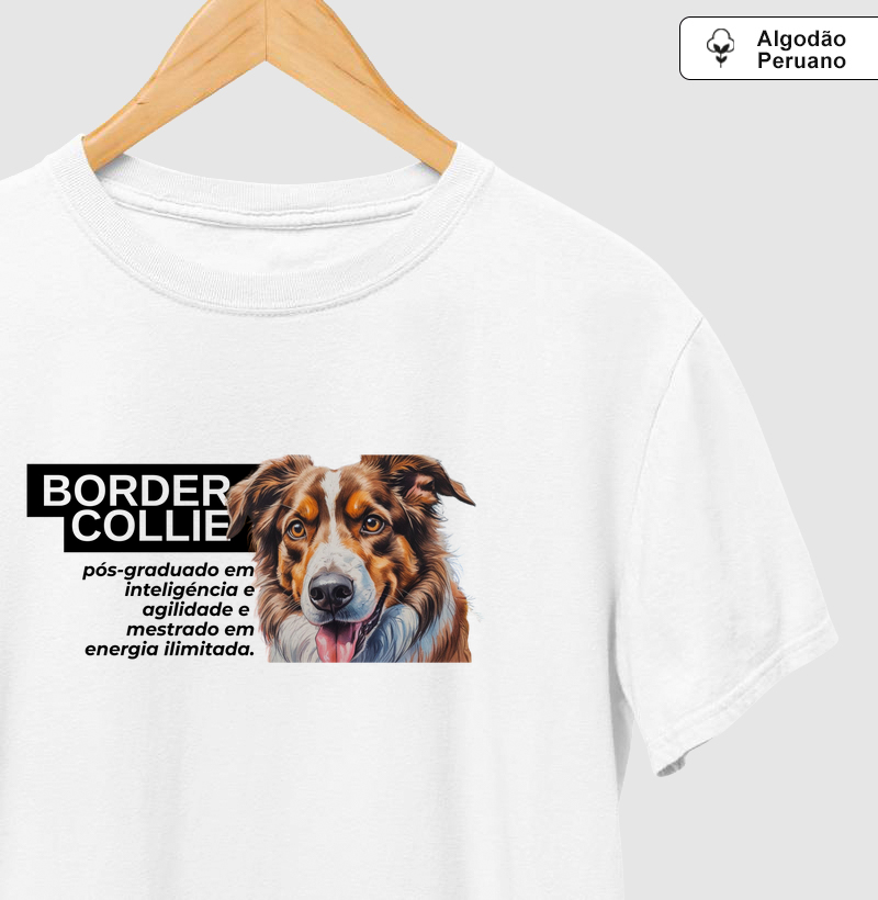 Pós-graduado em Inteligência e Agilidade