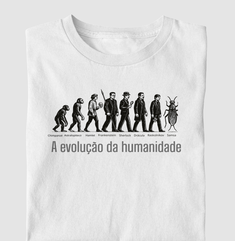 Evolução literária 