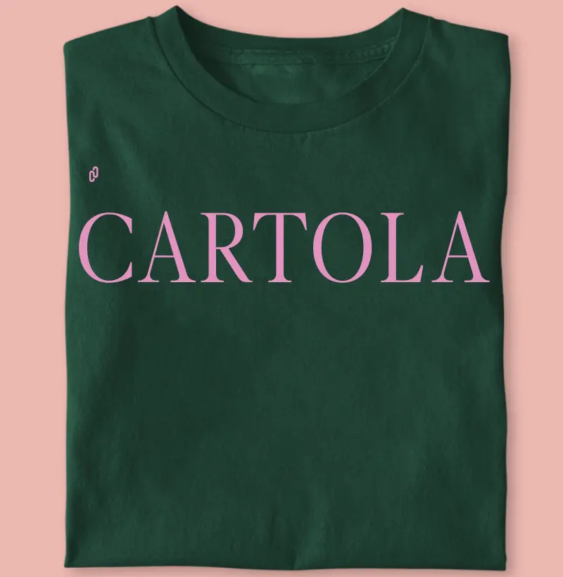410 - CARTOLA VERDE E ROSA