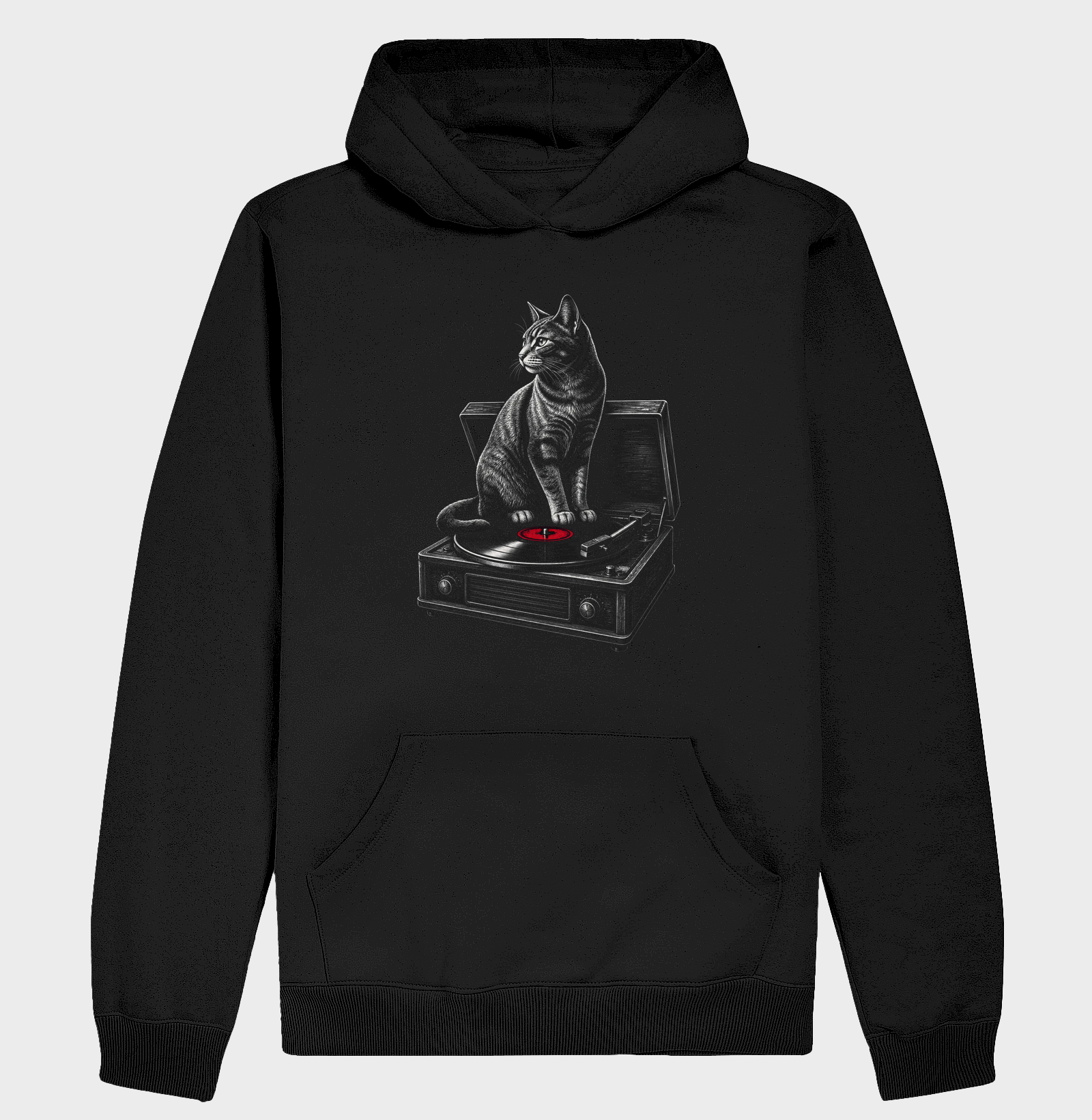 Disco de Vinil