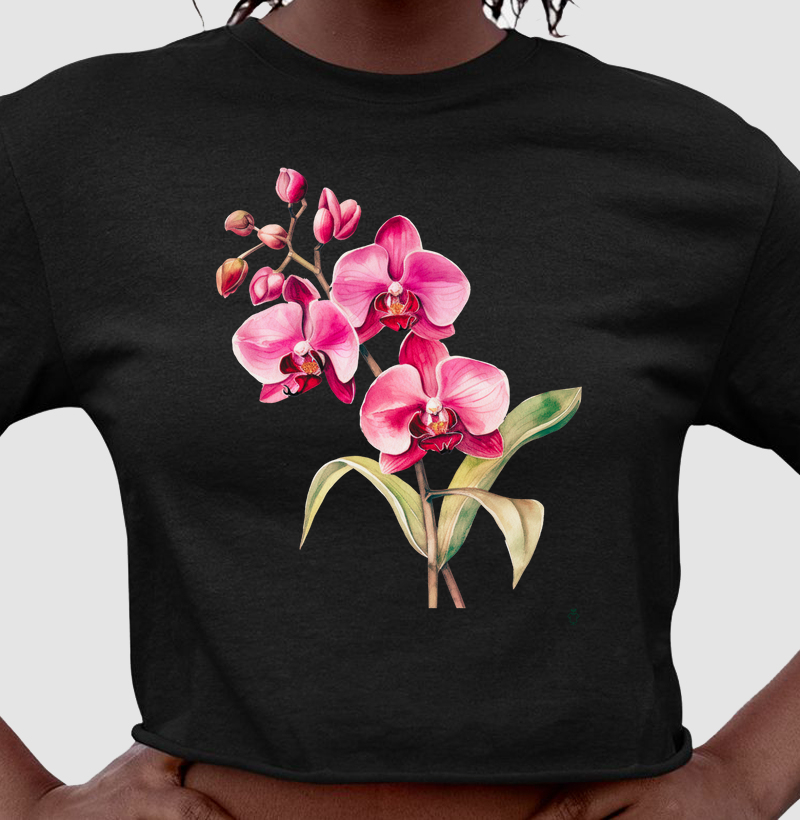 Coleção Orquídeas