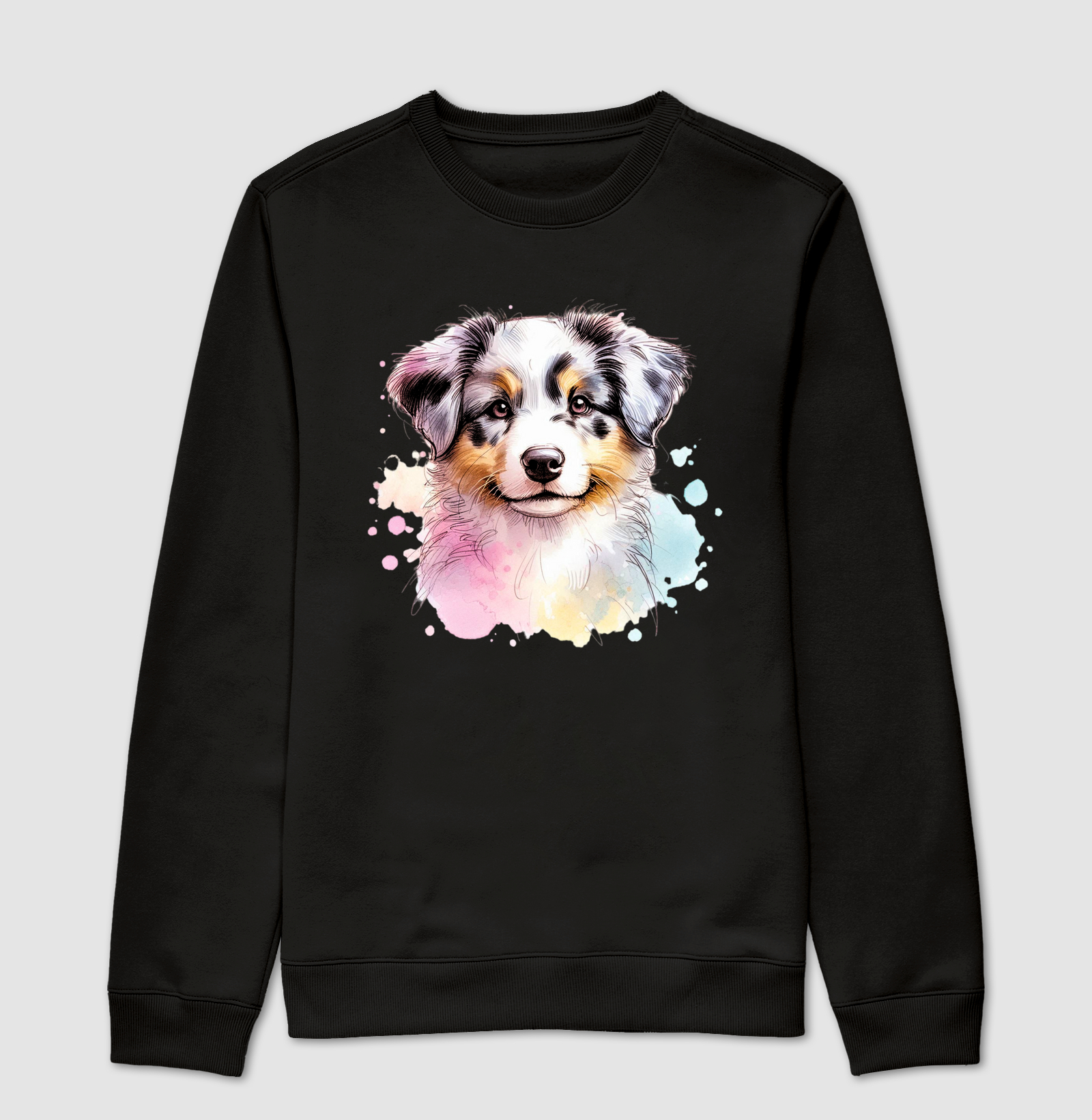 Australian Shepherd Blue Merle Puppy