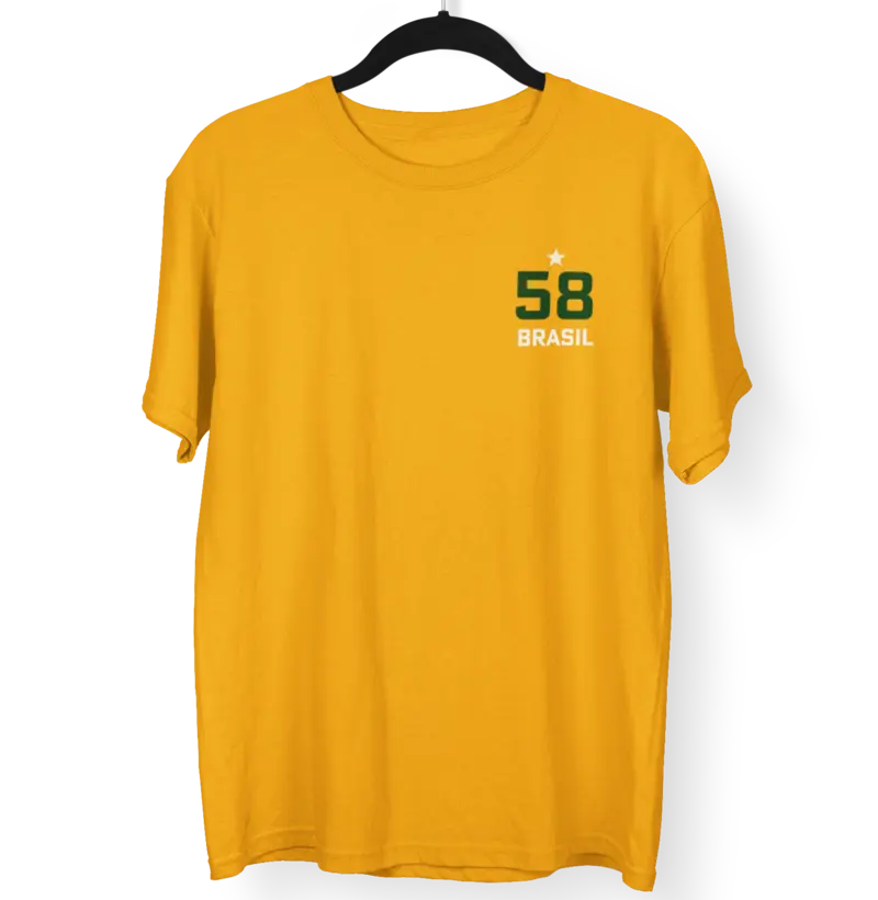 Brasil Copa 1958 Campeão Vintage