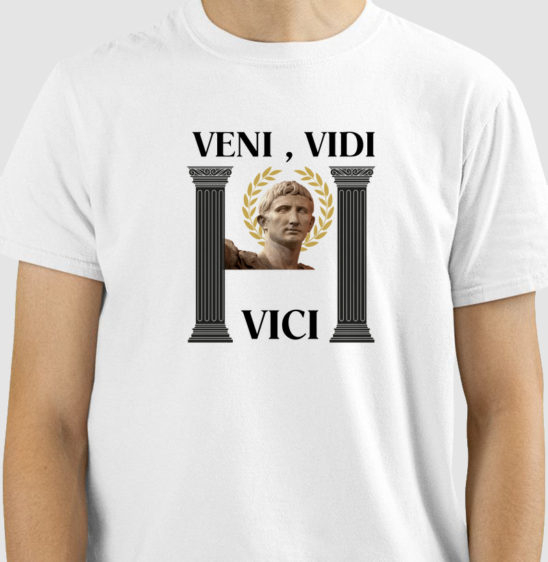 Veni,vidi ,vici