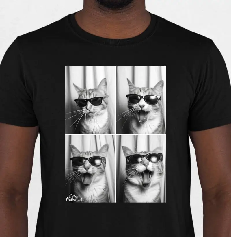 Ensaio Fotografico: Gato de Óculos