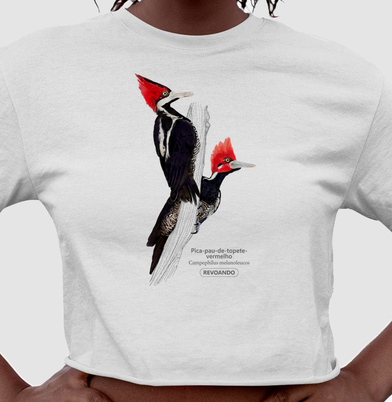 Aves do Brasil - Pica-pau-de-topete-vermelho - Cropped