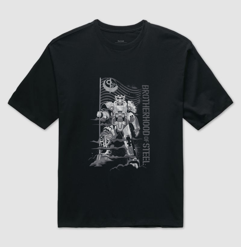 Fallout - Brotherhood of Steel