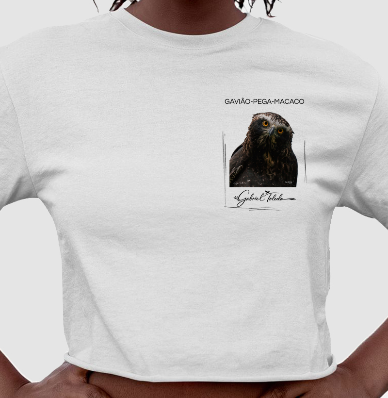 Gavião pega Macaco
