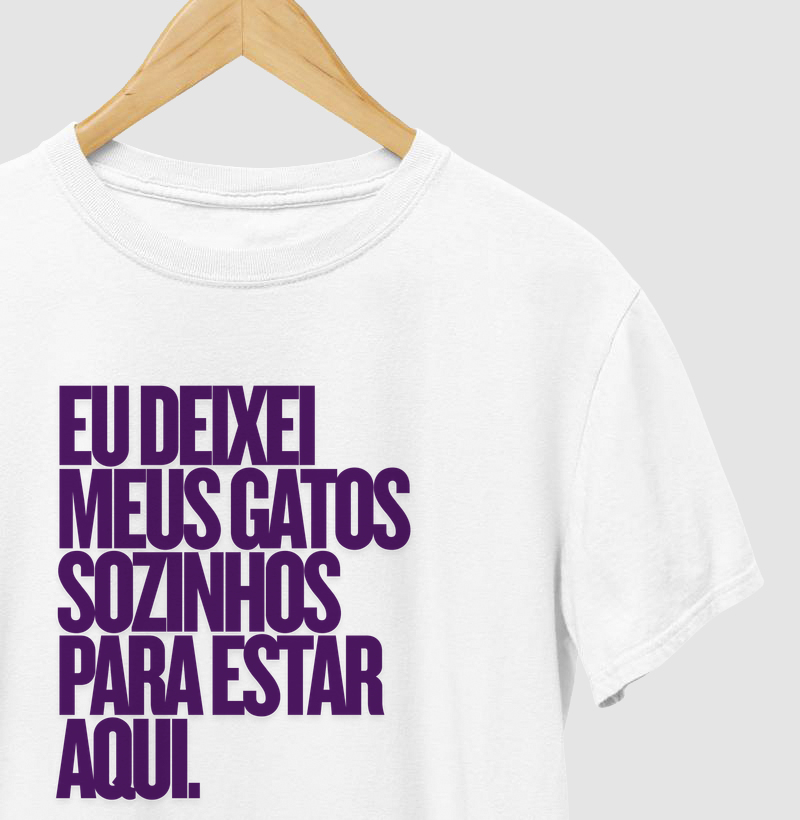 Eu deixei os meus gatos sozinhos para estar aqui.