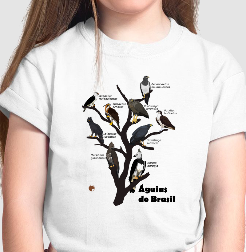Águias do Brasil
