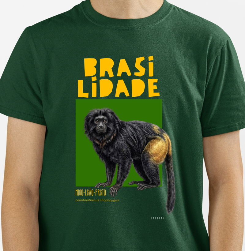 Mico-leão-preto 