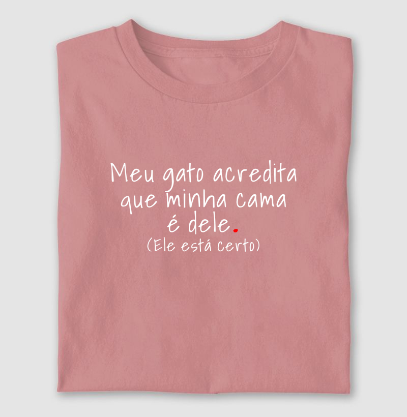 O Gato está certo