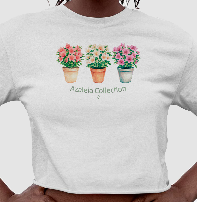 Azaleia Collection